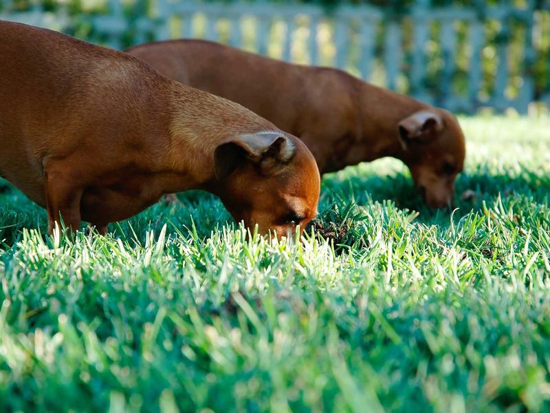 sudoku import puzzle screenshot 5